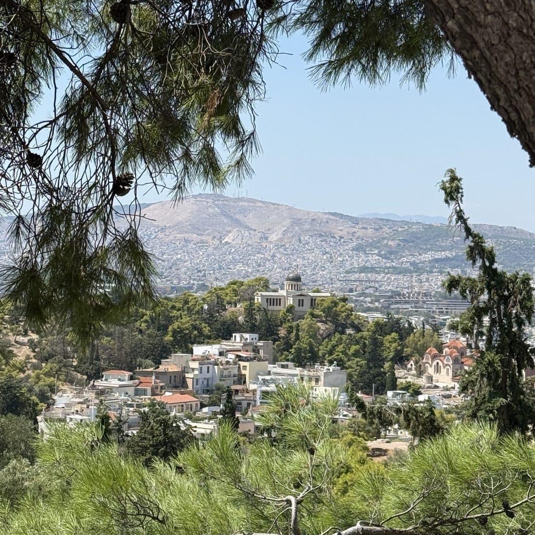 Athens seen through pine branches, with the old observatory on a hill and mountains behind
